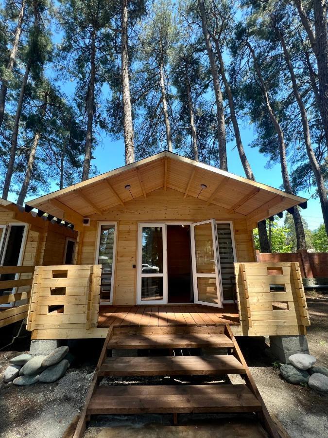 Mini-Hotel Forest Club Pițunda Exterior foto